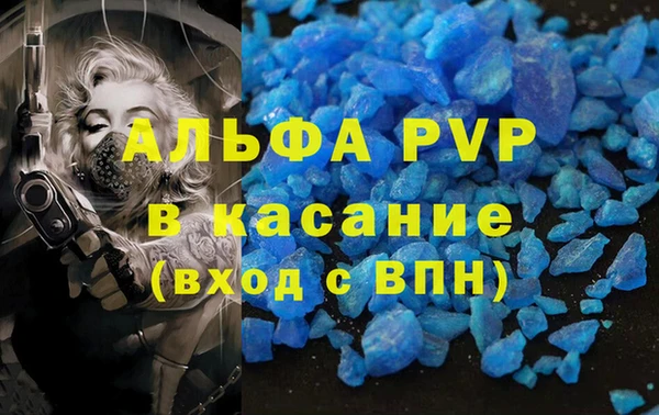 эйфоретик Пересвет