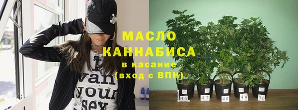 apvp Пестово